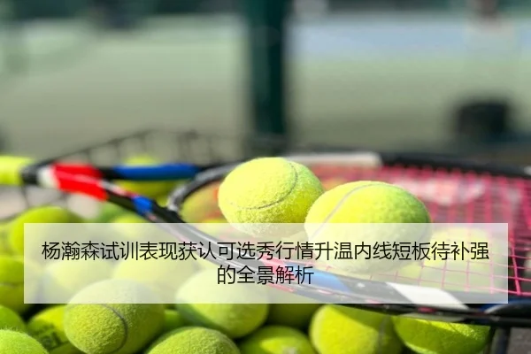 杨瀚森试训表现获认可选秀行情升温内线短板待补强的全景解析