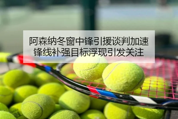 阿森纳冬窗中锋引援谈判加速 锋线补强目标浮现引发关注